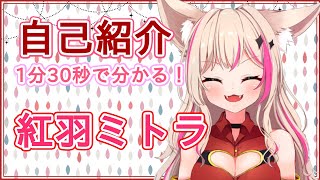 【自己紹介】初めまして🍒紅羽ミトラです【新人Vtuber】