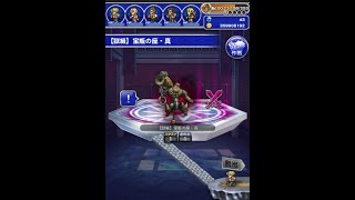 FFRK 移ろいし筆致～柔和～ 【獄級】宝瓶の座・真 FINAL FANTASY Record Keeper