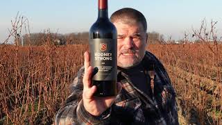 ALLURING Rodney Strong 2020 Alexander Valley Cabernet Sauvignon (California)