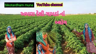 અમારા દેશી  ગામડા નો બ્લોગ વિડીયો જોવા નું નાં ભૂલ સો મિત્રો વીડિયોને લાઈક શેર સબસ્ક્રાઇબ કરતા જજો