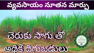 చెరుకు పంట| అధిక దిగుబడులు | sugar culturing cultivator re|Agriculture Raghu Ram