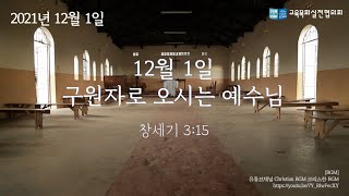 [대림절묵상_211201] │구원자로 오시는 예수님 🇰🇷