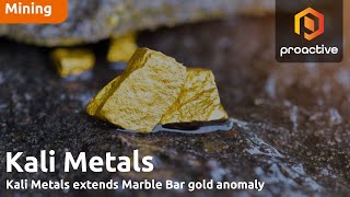 Kali Metals MD on gold developments at Marble Bar