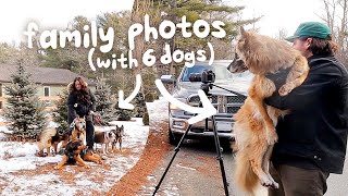 family photoshoot with my 6 dogs!