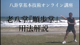 老八掌「順歩掌」用法解説：八卦掌基本技術オンライン講座