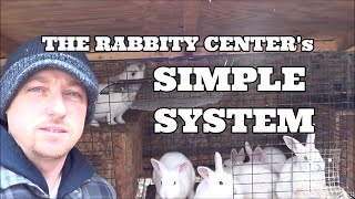 A SIMPLE RABBIT SYSTEM