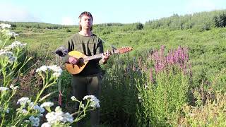 Patrick Heffernan - Pretty Fair Damsel