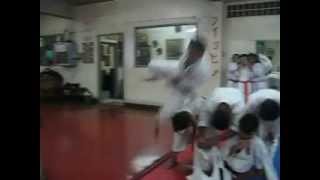 Karate Flying Kick