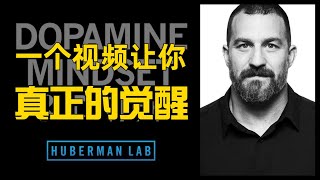 这将是你今年看过 最有价值的一个视频｜HubermanLab学习系列1