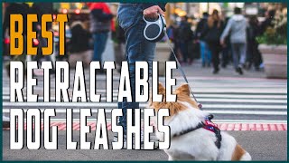 Best Retractable Dog Leashes for Walking or Hiking 2020