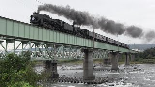 蒸気機関車D51498とC6120が重連で上越線第一利根川橋梁を渡る