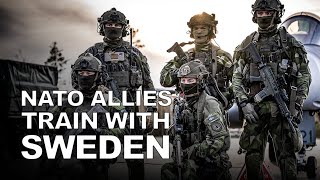 NATO Allies train with Sweden 🇸🇪 as it prepares to join the Alliance
