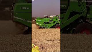 HIRA combine 🙏🙏🙏🙏🌾#combinelover #harvestercomine