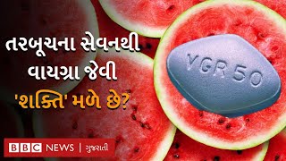 તરબૂચના સેવનની શરીરમાં વાયગ્રા જેવી અસર થતી હોવાની વાત સાચી કે ખોટી?