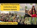 My Cactus Polytunnel Collection early Autumn Update | Cactus Collection Tour #cactus #cacti