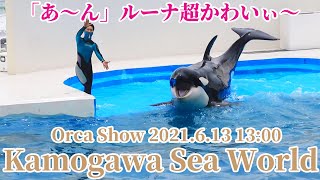 鴨川シーワールド シャチパフォーマンス KamogawaSeaworld OrcaShow ルーナがお口「あ～ん」