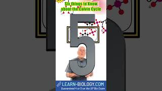 Six Things You HAVE to Know about the Calvin Cycle #photosynthesis  #calvincycle  #apbiology  #stem