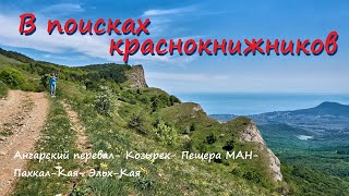 В поисках краснокнижников. Крым. Северная Демерджи, Козырек, Пещера МАН, Пахкал-Кая, Эльх-Кая.