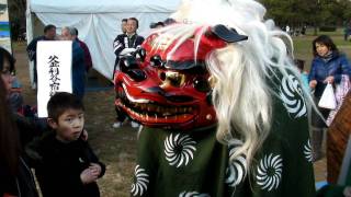 海の公園にいた獅子舞　2012年　1月14日