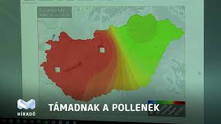 Támadnak a pollenek