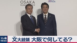 G20 文大統領 大阪で何してる？