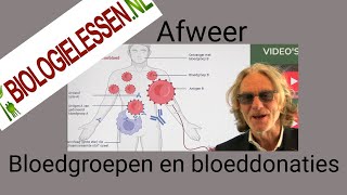 HAVO | MAVO | BB | Afweer | bloedgroepen en bloeddonaties (met oefeningen)