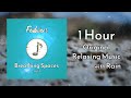 Ground + Rain • 1 Hour of Music for Study, Sleep, Meditation and Stress Relief