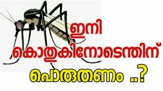 കൊതുക് ഇനി പരിസരത്ത് വരില്ല....|| EPISODE - 153 ||Streetlightnews by sabu joseph