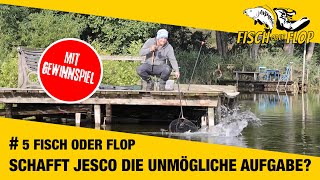 #5 FISCH oder FLOP: Schafft Jesco die unmögliche Aufgabe? Feedern auf Brassen am Kanal und See!