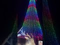 ලස්සනම නත්තල් ගස christmastree galleface colombo chrismassong srilanka cjeh shorts viral tranding