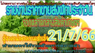 ปลูกผัก เช็คราคาผัก สำรวจราคาผัก อัพเดทราคาผักวันนี้ 21/7/66