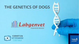 The genetics of dogs (excerpt)