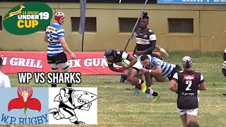 Match Highlights WP vs Sharks SA under 19 cup