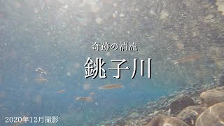 【水中映像】Choshigawa Blue　冬の銚子川の水中を見てみよう　奇跡の清流〜三重県紀北町〜