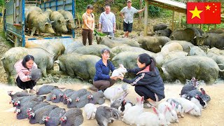 Shocking Traditions at Vietnam’s Bac Ha Market – You’ve Never Seen This Before - Travel Documentary
