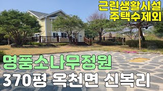 [양평전원주택] 옥천 370평 근린생활시설 주택수제외 소나무정원 전원주택 급매물 5억8천만원 옥천면 신복리 숲세권 명품소나무전원주택 대지 370평 건물 56평