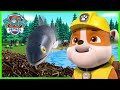 Pups Help the Fish get over the Beaver Dam! | PAW Patrol | Cartoons for Kids Compilation