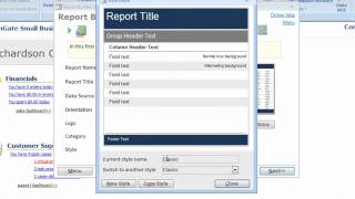 Report Builder for Microsoft Access