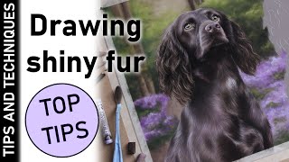 How to draw shiny fur in pastels | TOP TIPS for drawing fur