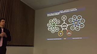 Vibration-based damage identification using hybrid optimization algorithms (PhD defense)