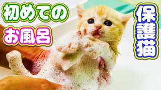 【保護猫】困り顔の仔猫を初めてお風呂に入れたら気持ち良過ぎて... Cute kitten