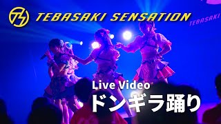 手羽先センセーション『ドンギラ踊り』ライブ映像 (2024/07/14＠ダイアモンドホール)【手羽セン】