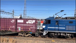 【イベント展示に伴う隅田川貨物駅送り込み無動力回送】JR貨物EF210形172号機＋ムド国鉄DE11形2004号機を越谷貨物ターミナル駅で追い抜く！（単8581レ・臨A999A）2024.12.23