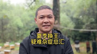 都说夏季换王很困难，问题出在哪里，发个疑难杂症总汇给大家参考