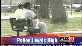 Allergy report: high pollen amounts