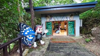 蝴蝶館【巴陵古道】 - 桃園復興 Baling Ancient Trail, Taoyuan Fuxing (Taiwan)