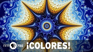 NMPBS ¡COLORES!: Dr. Jonathon Wolfe