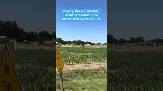 Corn maze coming to the ranch this year! - - #cornmaze #maze #amazing #fun #fall #xorn #fyp #country