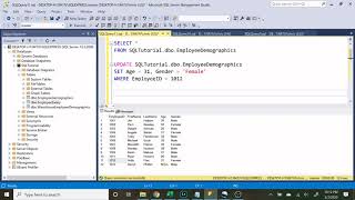 Intermediate SQL Tutorial update and delete (part 5)