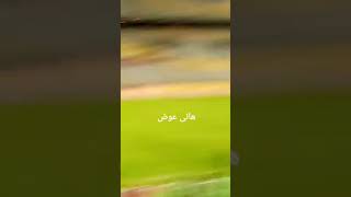 زلزال في مدرجات ستاد برج العرب اليوم بعد هدف محمد شريف الثاني في فريق فاركو / هدف محمد شريف